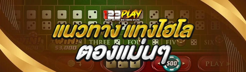 แนวทาง แทงไฮโล ตองแม่นๆ 