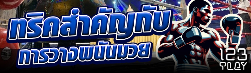 ทริคสำคัญกับการวางพนันมวย
