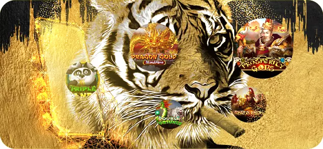 123play tiger